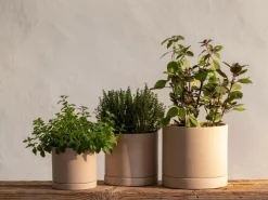 Blumentopf aus Steingut, natur, 14,5 x 13,5 cm