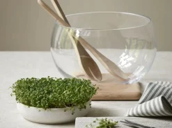 Kresseteller aus weißem Terracotta, H 4 cm, ø 17 cm