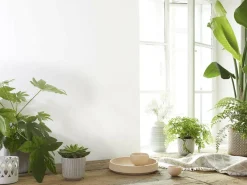 Schale aus Zirbenholz, handgedrechselt, ø 23 cm