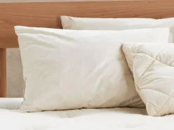 Schlafkissen Hirse Pur, Standard, 40 x 60 cm, GOTS, NATURTEXTIL BEST, VEGAN